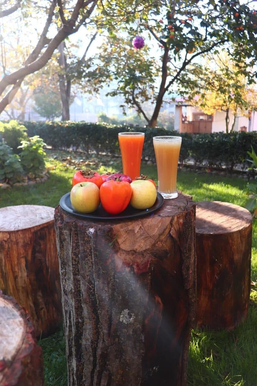Fresh-pressed orchard juice