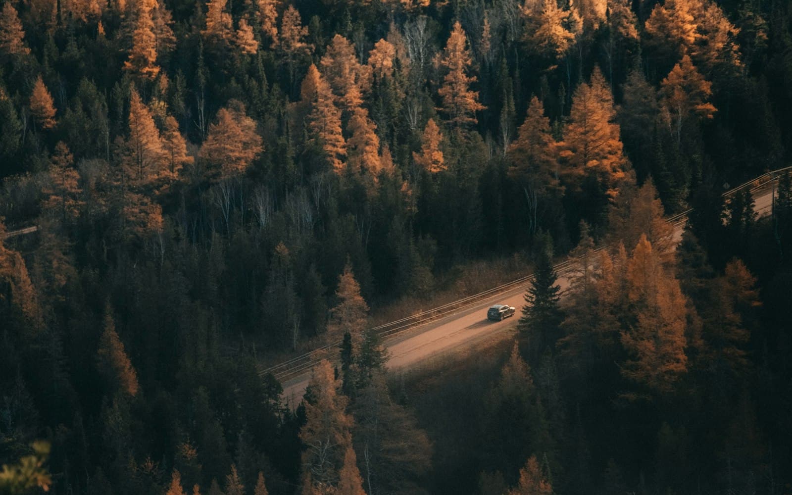 Manali in November: The Quiet Month We Keep for Ourselves
