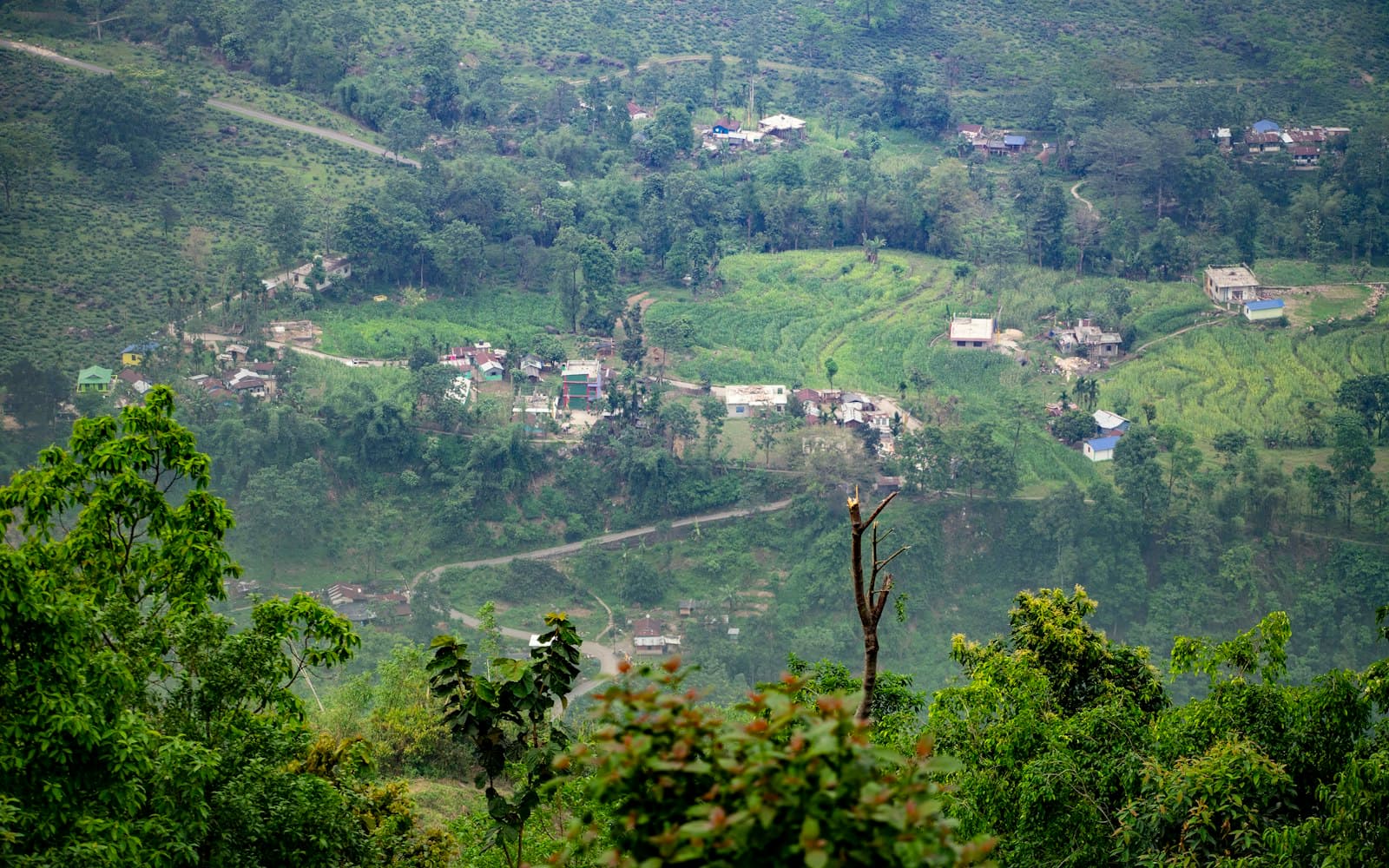 The Beas valley near Manali at dawn, terraced apple orchards and the highway threading between forested ridges toward the snow peaks.