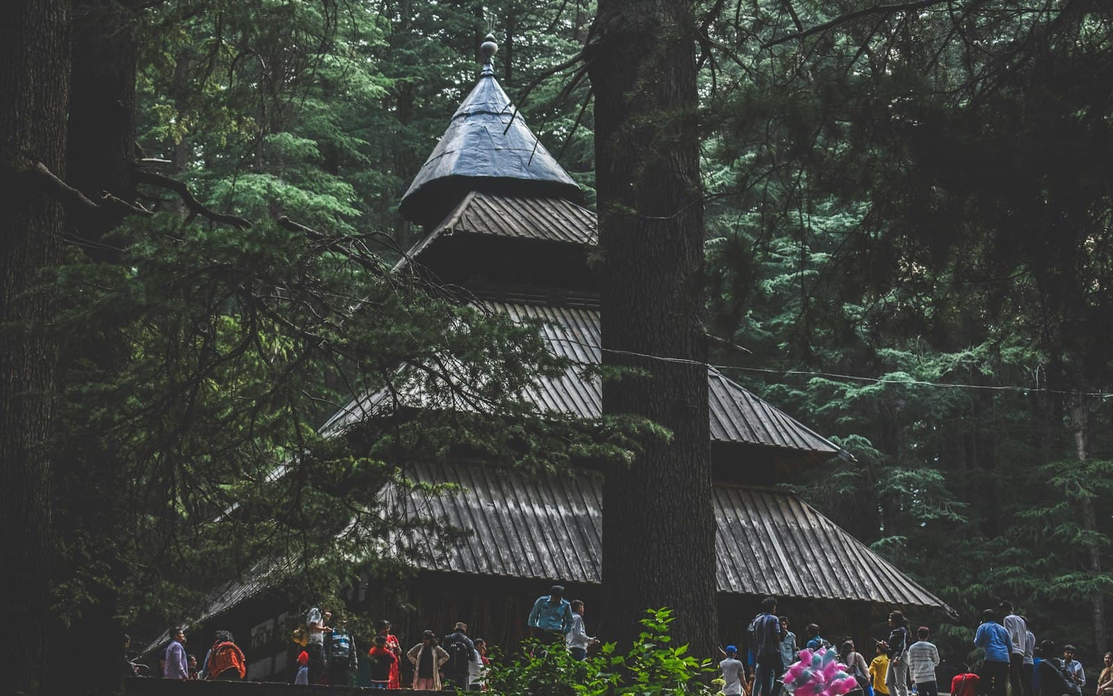 The dark cedar-wood tower of Hadimba Devi Temple rising among tall deodar trees in the Dhungri forest, Manali