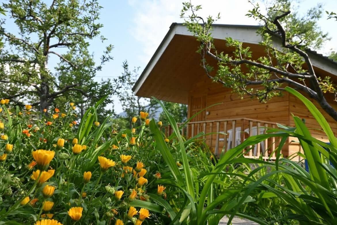 Persimmon Farmstead Shanag — view 4