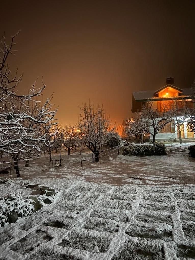 Snow settling over the orchard in December